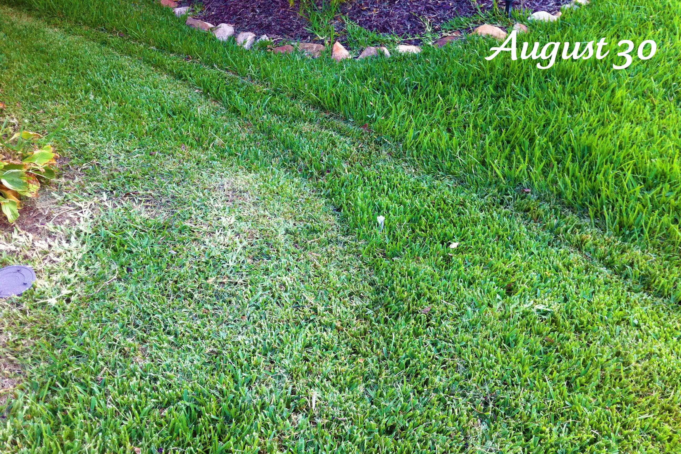 Project Life: August 28 – September 3
